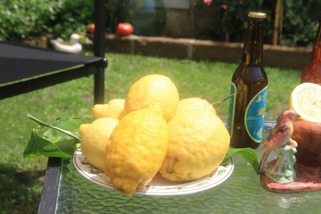 Casa Vacanza Sole 特拉蒙蒂 外观 照片